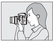 NIKON D3300+18-105VR+FT+86 - (AUTO et 4) - 3