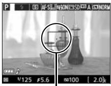 NIKON D3300+18-105VR+FT+86 - Positionnez le point AF. - 1