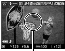 NIKON D3300+18-105VR+FT+86 - Effectuez la mise au point. - 2