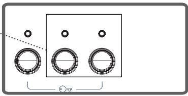 PROLINE PFL 100 WF-1 - Fonctions auxiliaires (bouton d'options) - 1