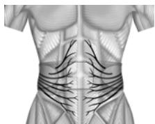 SLENDERTONE CEINTURE ABS 7 - TECHNOLOGIE BREVETEE ET EXCLUSIVE - 2