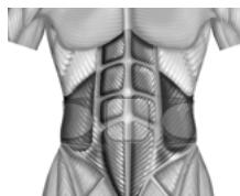 SLENDERTONE CEINTURE ABS 7 - TECHNOLOGIE BREVETEE ET EXCLUSIVE - 3