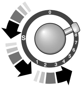 FALCON CLASSOLPCY/B-EUC - François - 1