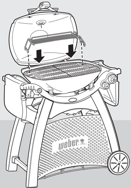 WEBER Q3000 56060053 - 3200 - 12