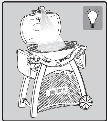 WEBER Q3000 56060053 - 3200 - 4
