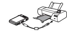 CASIO EX-S12BKECD - Impression depuis un ordinateur - 1
