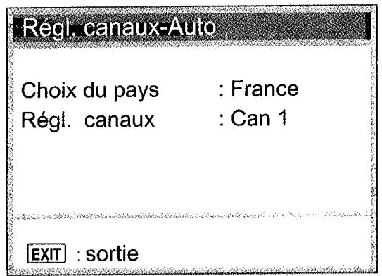 PANASONIC NV-HV50 - Réglages manuels - 2