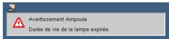 SANYO PDG-DSU 30 - Témoin d'avertissement - 2