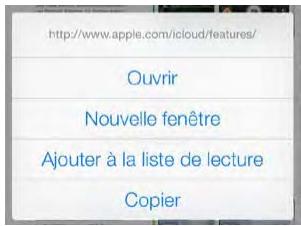 APPLE iPhone5S16GoReconditionne4345037 - Surfer sur le Web - 1