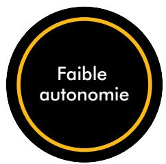 DYSON 447002-01 - Autonomie restante - 1