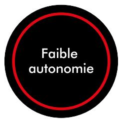 DYSON 447002-01 - Autonomie restante - 2