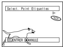 HITACHI DZ-MV730ME - CHANGEMENT DE VIGNETTES (EFFET - ETIQUETTE) - 3