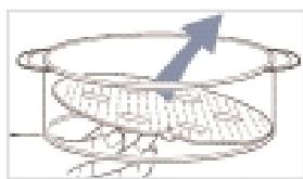 SEB 6169.00 - Informations importantes pour la cuisson mijotage des haricots SECS, des POIS et des lentilles - 5