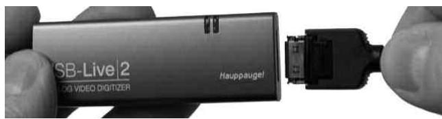 HAUPPAUGE USB LIVE 2 - Connexion d'un source A/V - 1