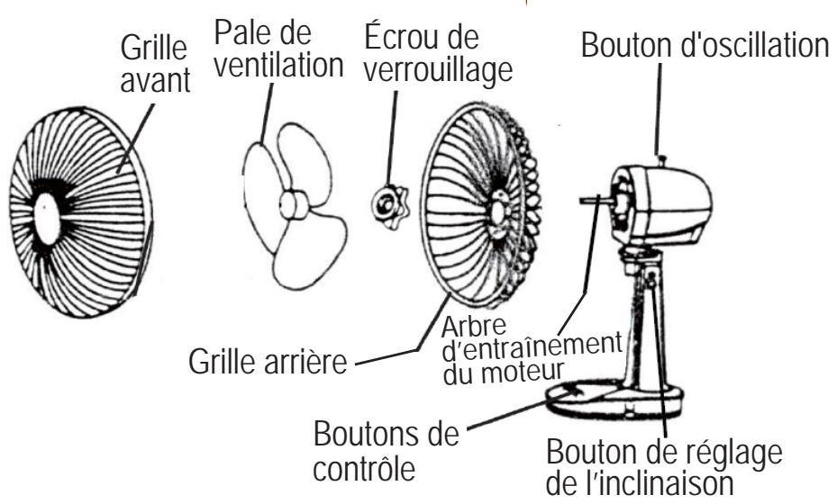 PROLINE VT23 - DESCRIPTION - 1