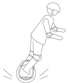 SEGWAY Ninebot Z10 - Avertissements - 15