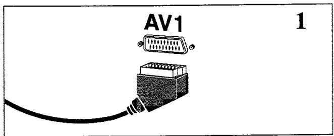 BRANDT 36135 - La prise péritélévision AV1 (1) - 1