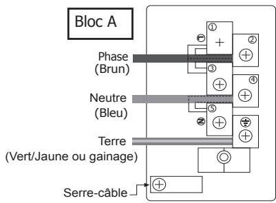 MAROUE PSTGOUR110DFTBL - BRANCHEMENT DE L'ALIMENTATION ELECTRIQUE - BOITIER À BORNES - 2