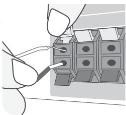 THOMSON TH-BD50 - Relier les haut-parleurs à l'unité - 1