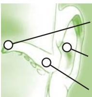 TERRAILLON MULTI THERM - Auriculaire - 5