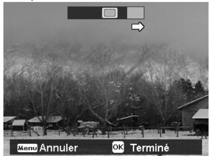 HITACHI HBC 1600E BLACK - Pour combiner les photos - 4