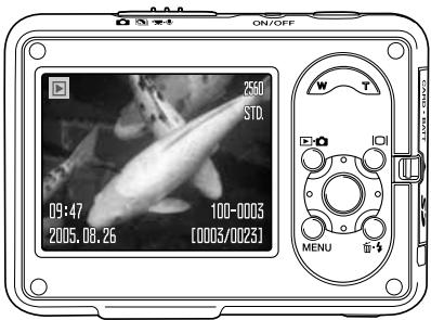 KONICA MINOLTA NC - Diaporama - 5