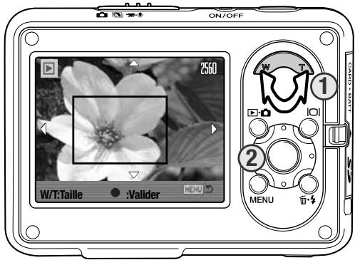 KONICA MINOLTA NC - Recadrage d'image - 2