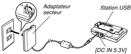 CASIO EX-257 - REMARQUE - 1