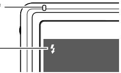 CASIO EX-257 - Etat du flash - 1
