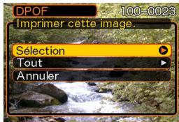 CASIO EX-257 - Régler les paramètres d'impression pour une seule photo - 1