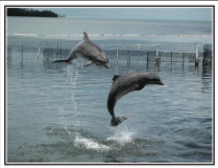 VC GZ-E200 BLACK - Filmer lesassage moments dans une video sous forme de photographie - 3