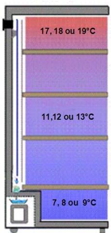 AVINTAGE DV315MGN3 - SCHEMA DE VISUALISATION DES DIFFERENTS NIVEAUX DE TEMPERATURE DANS VOTRE CAVÉ A VINS (SUIVANT REGLAGE) : - 1