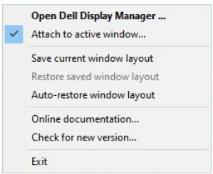 DELL AE92721DS - Attacher DDM aux fenêtres actives - 1