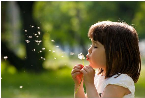 FUJIFILM X-T20 NR + XF 18-55MM - Sensibilité et flou de bouge - 1