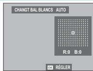 FUJIFILM X-T20 NR + XF 18-55MM - Réglage précis de la balance des blancs - 1