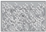 NIKON D4S - Optimisation des résultats avec l'autofocus - 6