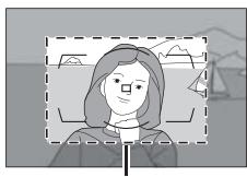 NIKON D4S - Affichage du viseur - 2