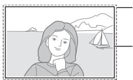 NIKON D4S - Zone d'image - 2