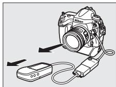 NIKON D4S - Cap géographique - 1