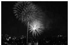 NIKON D4S - Zoom - 1