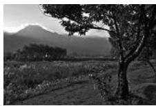 NIKON D4S - D-Lighting actif - 3