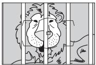 NIKON D4S - Optimisation des résultats avec l'autofocus - 2