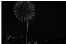 NIKON D4S - Zoom - 3