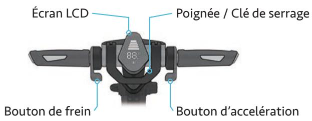 INMOTION L8F - - Descriptif produit - 2