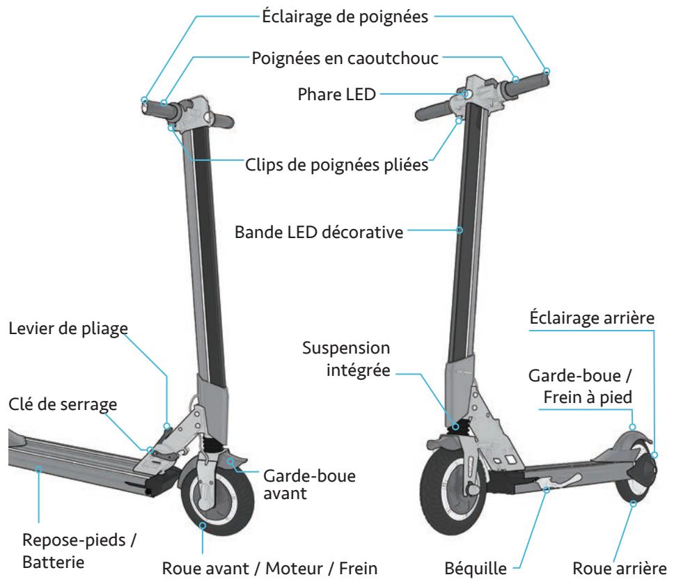 INMOTION L8F - - Descriptif produit - 1