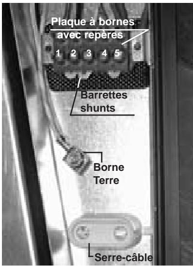 CANDY PVK310N - RACCORDEMENT AUX BORNES DE LA PLAQUE : - 2