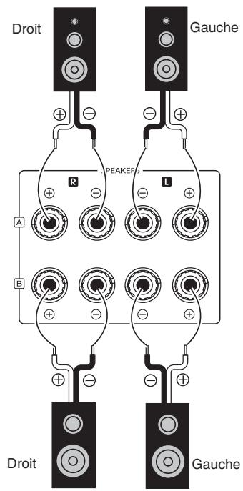 SHERWOOD RX-4109 - CONNECTER DIGI-LINK - 2