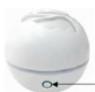 DARTY FLOWER - INFORMATIONS SUR L'UTILISATION DES HUILES ESSENTIELLES - 4
