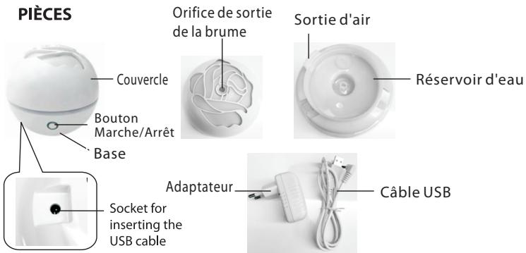 DARTY FLOWER - INSTRUCTIONS IMPORTANTES DE SECURITÉ - 2
