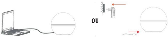 DARTY FLOWER - INFORMATIONS SUR L'UTILISATION DES HUILES ESSENTIELLES - 3